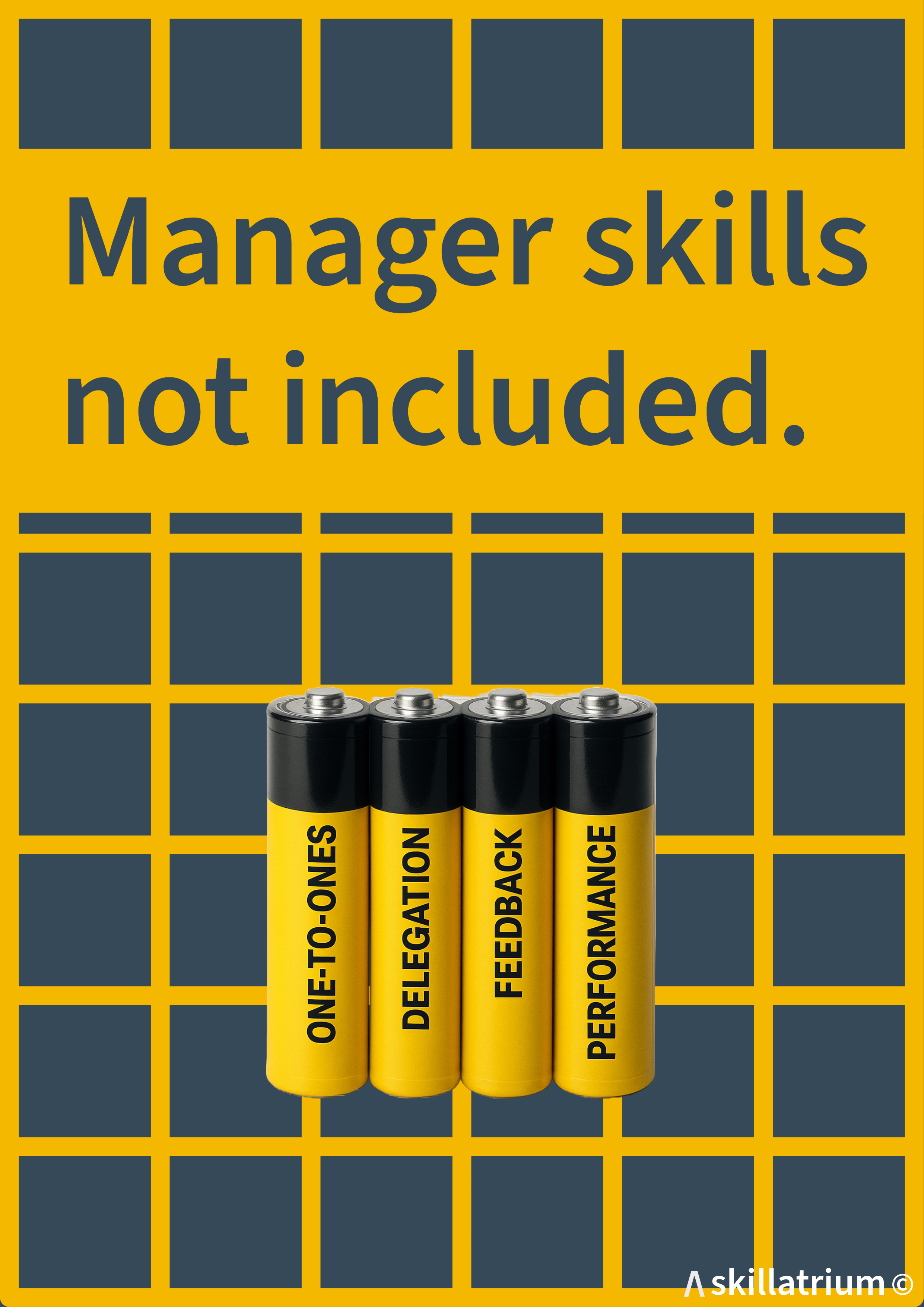 Manager Skills Not Included ebook cover